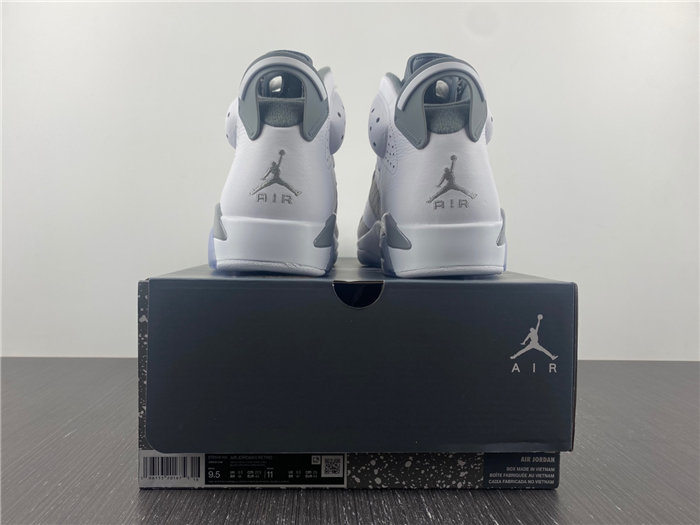 Jordan 6  Cool Grey CT8529-100