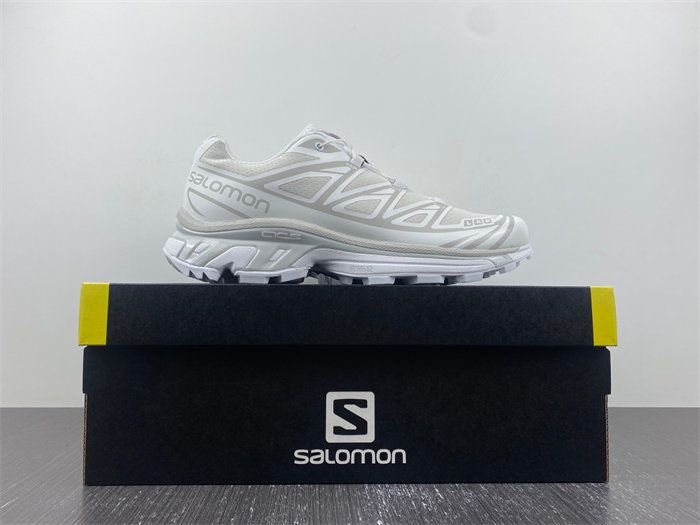 Salomon XT-6 White Lunar Rock 412529