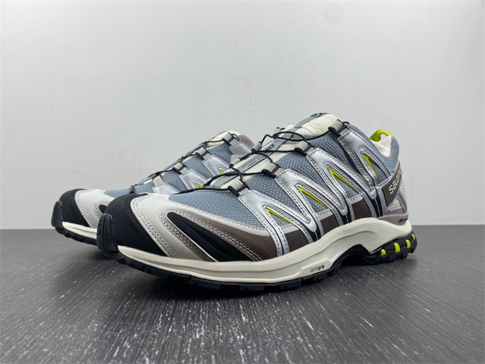 Salomon XT-6 412322