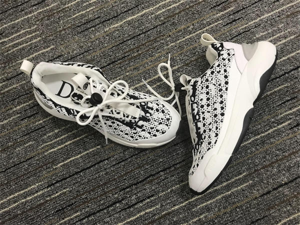 Dior Sneaker 003