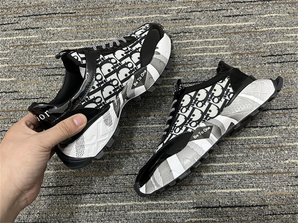 Dior Sneaker 006