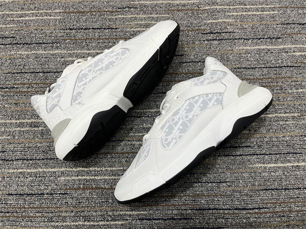 Dior Sneaker 009