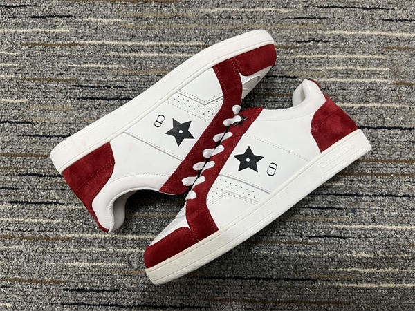 Dior Sneaker