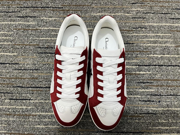 Dior Sneaker