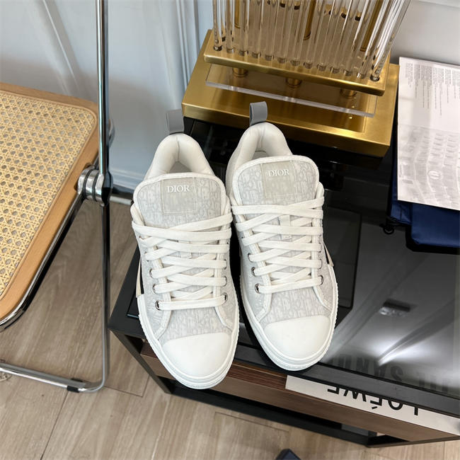 Dior B23 Low Top