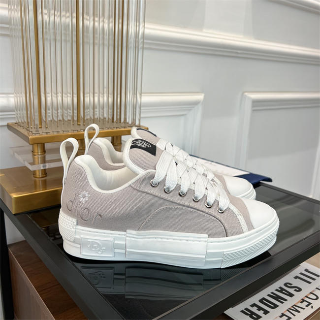 Dior B23 Low Top