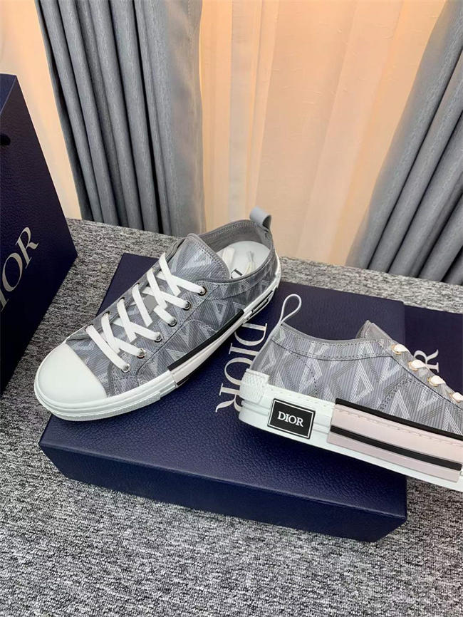 Dior B23 Low Top