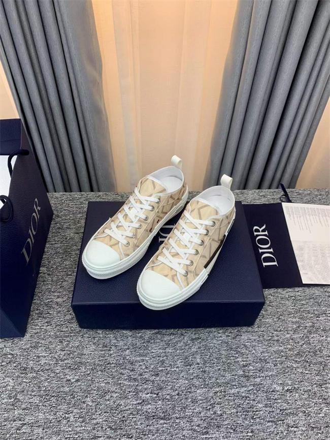 Dior B23 Low Top