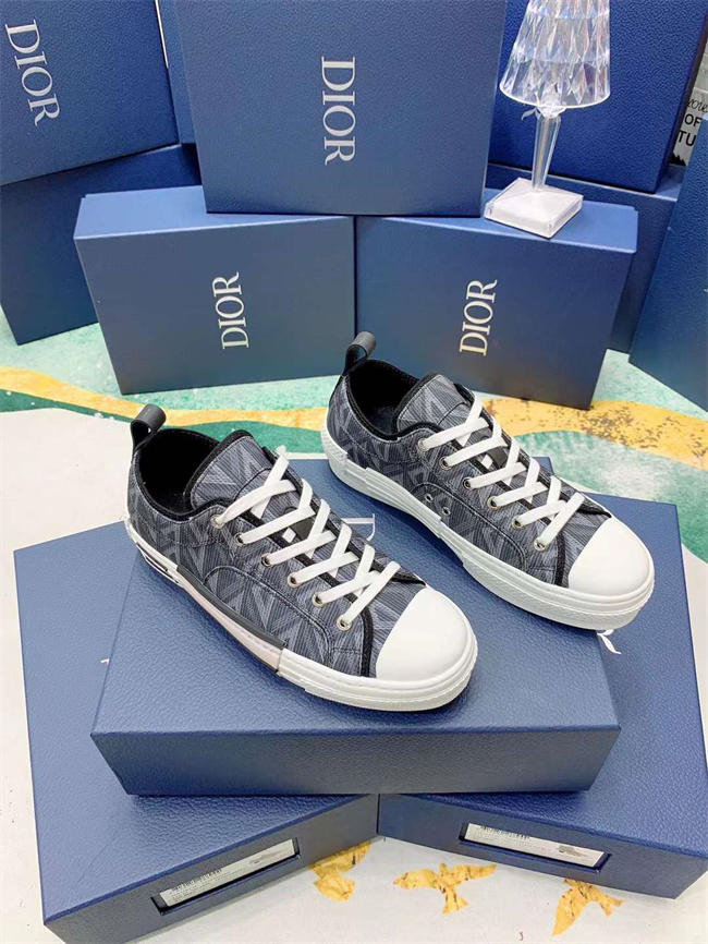 Dior B23 Sneaker