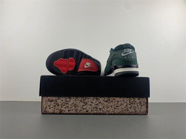 Air Jordan 4 RM SP Nigel Sylvester Grandma