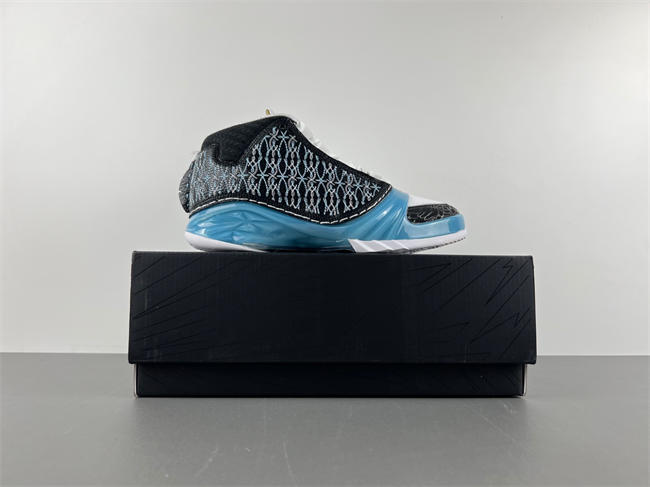 Air Jordan 23 UNC 318376-041