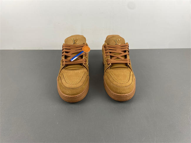 Louis Vuitton LV trainer x2 110