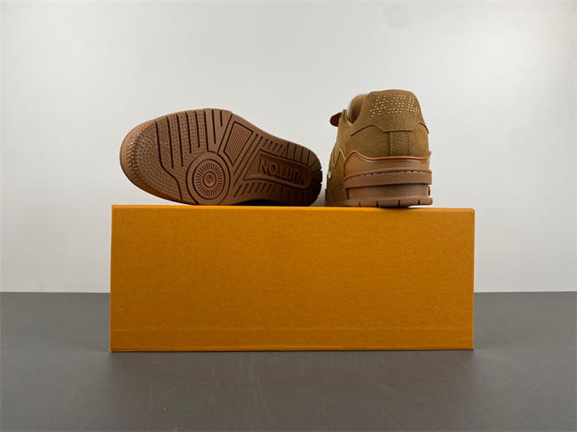 Louis Vuitton LV trainer x2 110