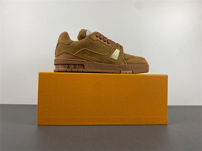 Louis Vuitton LV trainer x2 110