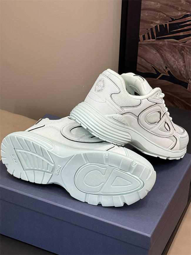 Dior B30 Sneaker D1510