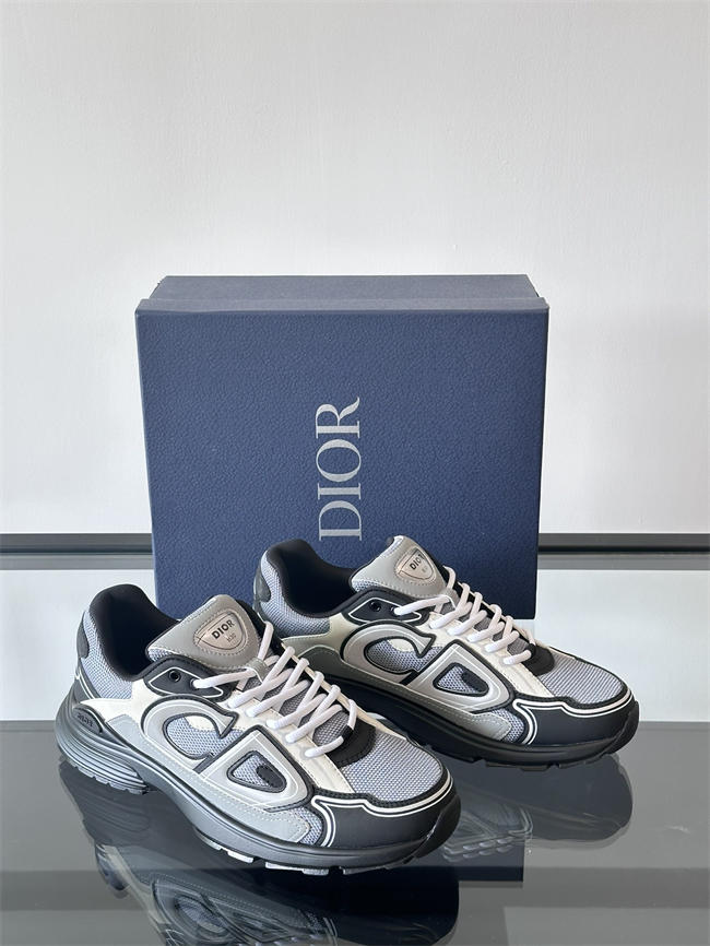 Dior B30 Sneaker D1010
