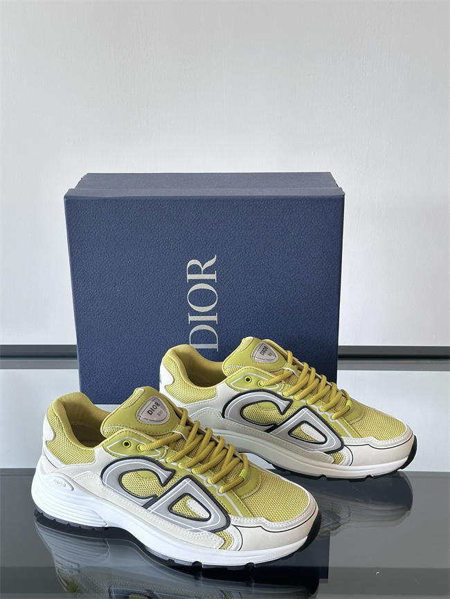 Dior B30 Sneaker D1012
