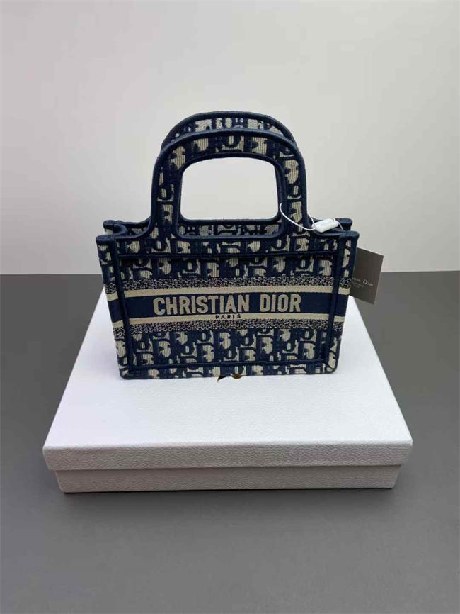 DIOR BAG