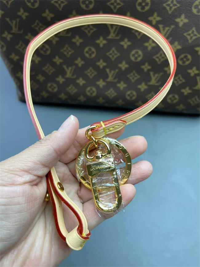 LV BAG